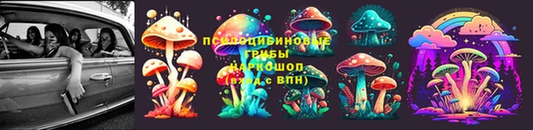 амф Абаза