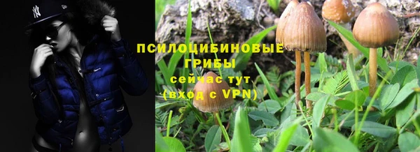 молекула духа Михайловка
