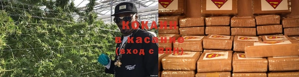 амф Абаза
