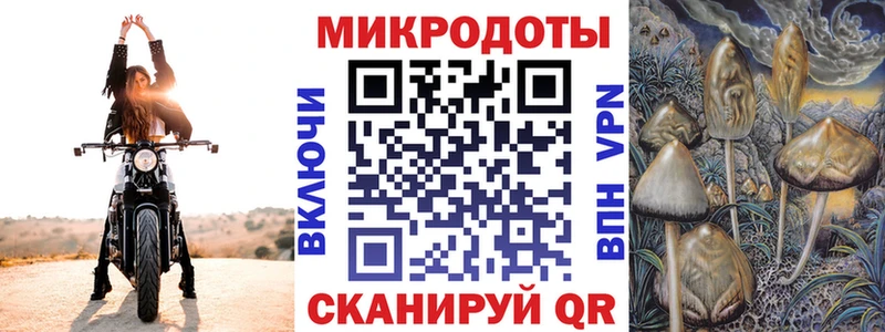 сайты даркнета клад  Североморск  Псилоцибиновые грибы Psilocybine cubensis 